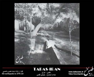 tabas garden 123 (19)
