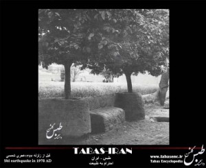 tabas garden 123 (35)