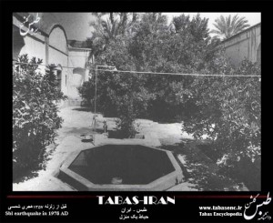 tabas garden 123 (38)